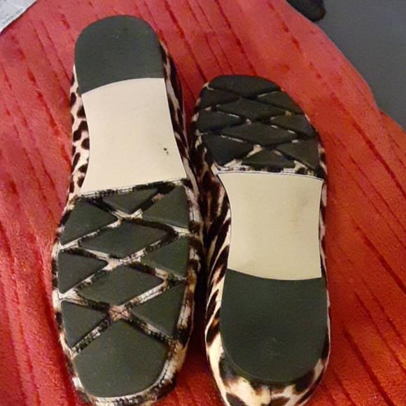 Leopard flat - Picture 5 of 5